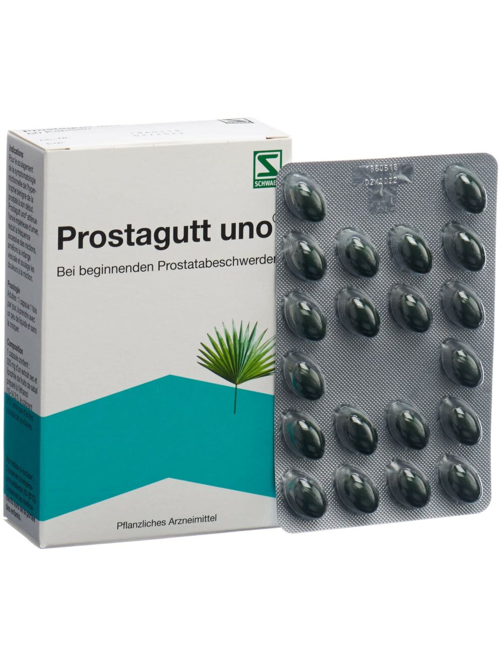 leac verde simplu pentru prostatita prostatita stagnantă poate fi vindecată