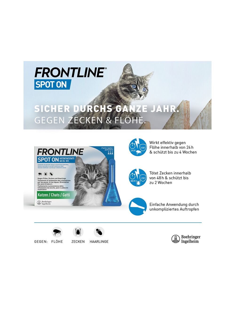 Frontline Katze Preis