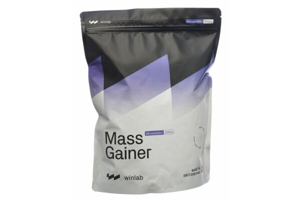 Winlab MASS GAINER Vanille Btl 1000 g