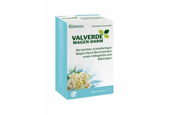 Valverde gastro-intestinal cpr pell 60 pce