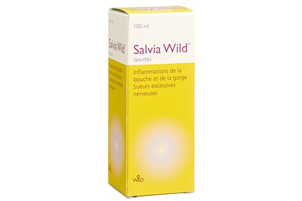 Salvia Wild Tropfen Fl 100 ml