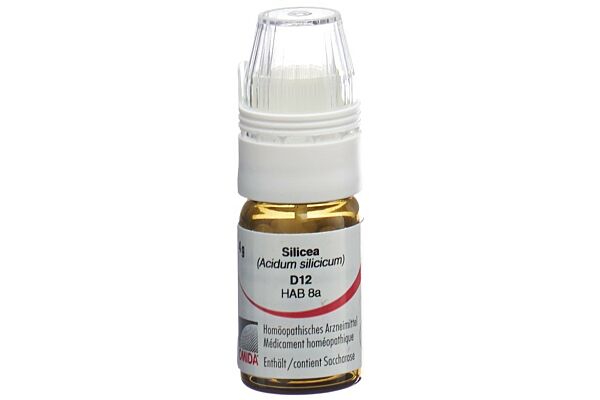 Omida Silicea Glob D 12 mit Dosierhilfe 4 g