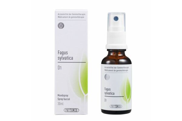PHYTOMED GEMMO Fagus sylvatica liq D 1 Spr 30 ml