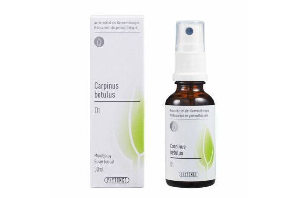 PHYTOMED GEMMO Carpinus betulus liq D 1 Spr 30 ml