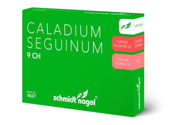 SN caladium seguinum glob 9 CH 5 x 1 g