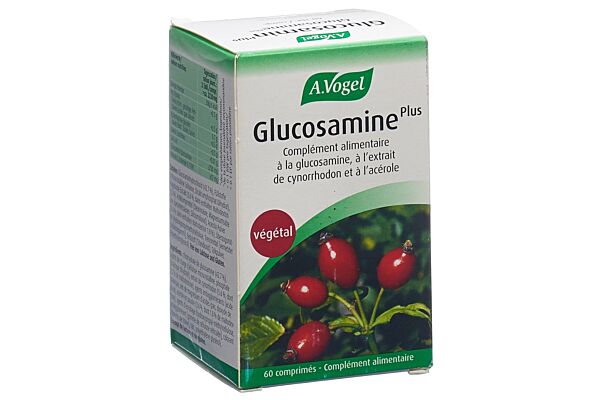 Vogel glucosamine plus cpr à l'extrait de cynorrhodon 60 pce