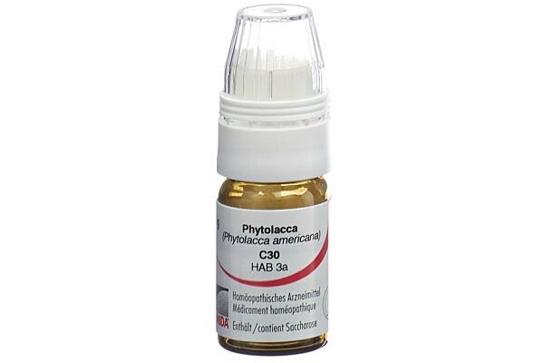 Omida Phytolacca Glob C 30 mit Dosierhilfe 4 g