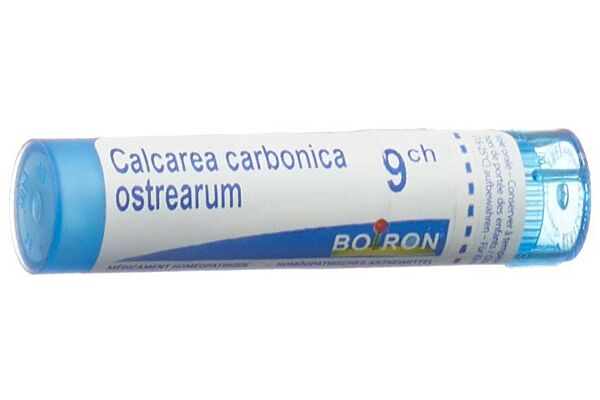 Boiron Calcarea carbonica ostrearum Gran CH 9 4 g