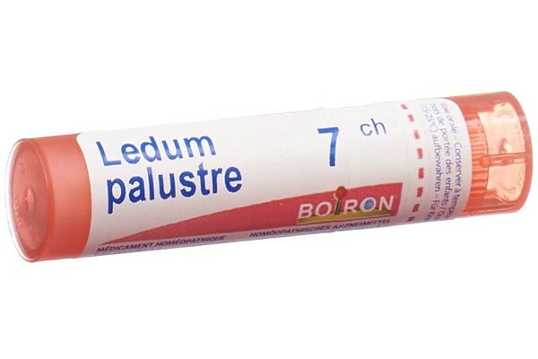 Boiron Ledum palustre Gran CH 7 4 g
