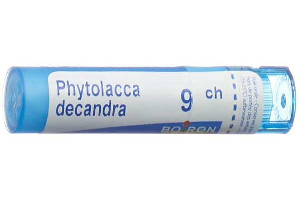 Boiron Phytolacca decandra Gran CH 9 4 g