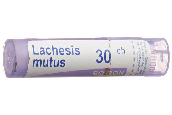 Boiron lachesis mutus gran 30 CH 4 g