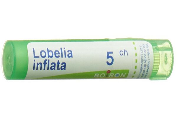 Boiron Lobelia inflata Gran CH 5 4 g