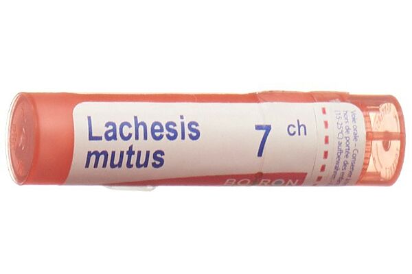 Boiron Lachesis mutus Gran CH 7 4 g