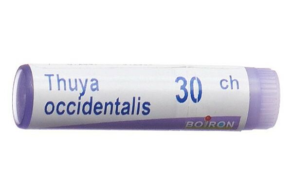 Boiron Thuya occidentalis Glob CH 30 1 Dos