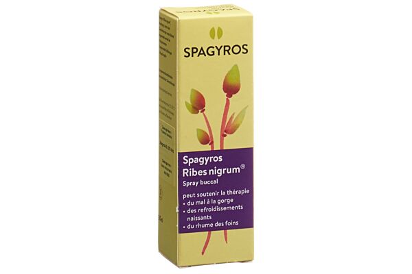 Spagyros ribes nigrum spray buccal 1 D 30 ml