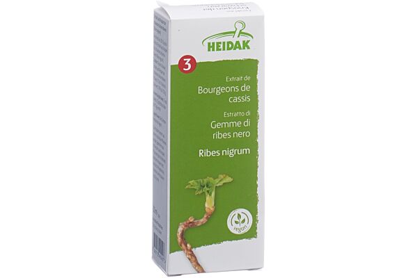 HEIDAK Knospe schwarze Johannisbeere Ribes nigrum Glyc Maz Fl 30 ml