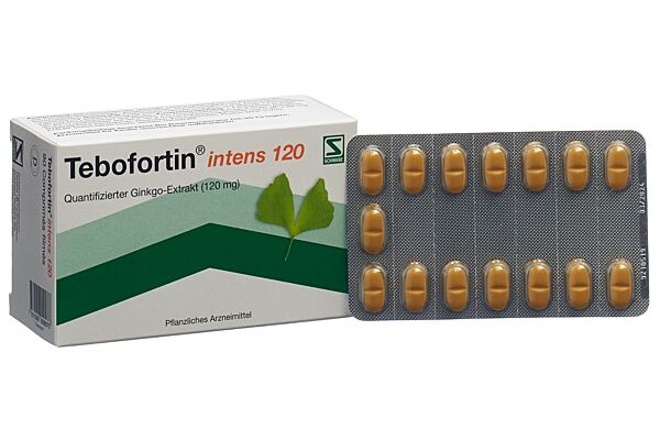 Tebofortin intens 120 cpr pell 120 mg 90 pce