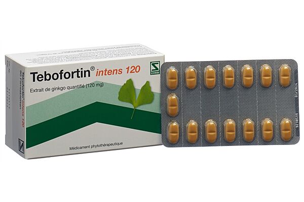Tebofortin intens 120 Filmtabl 120 mg 90 Stk