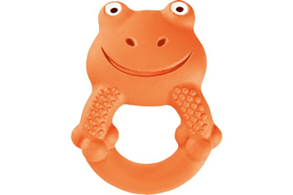 MAM Max the Frog anneau de dentition 4 mois
