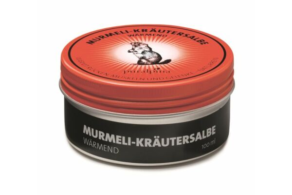 puralpina Murmeli-Kräutersalbe wärmend Ds 50 ml