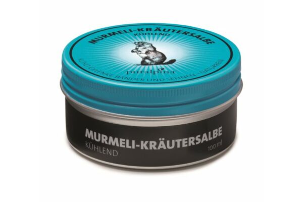 puralpina Murmeli-Kräutersalbe kühlend Ds 50 ml
