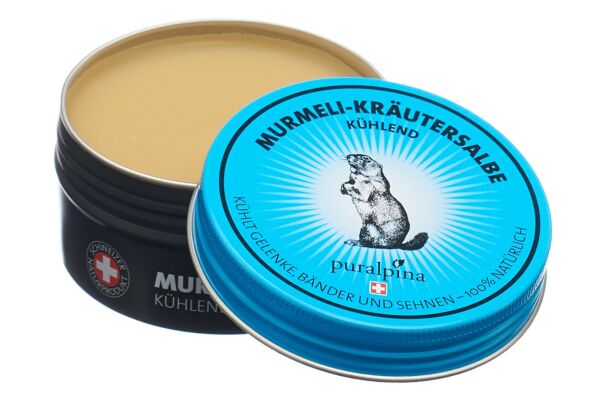 puralpina Murmeli-Kräutersalbe kühlend Ds 100 ml