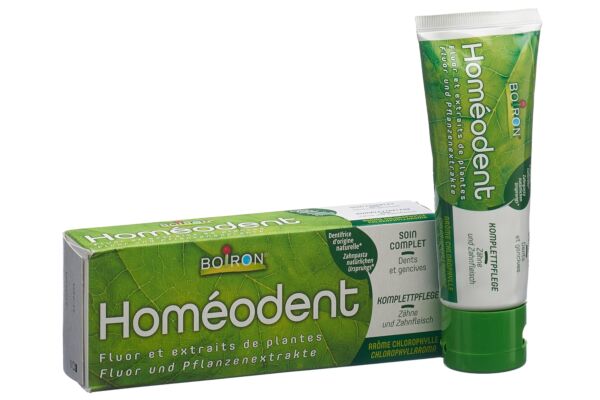 Homeodent Zahn- und Zahnfleischpflege komplett Chlorophyll Tb 75 ml