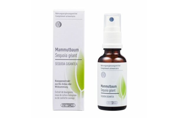 PHYTOMED Knospenextrakt Mammutbaum Spr 30 ml
