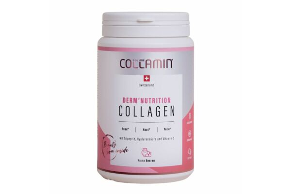 COLLAMIN Derm'Nutrition Collagen Peptide 28 portions bte 480 g