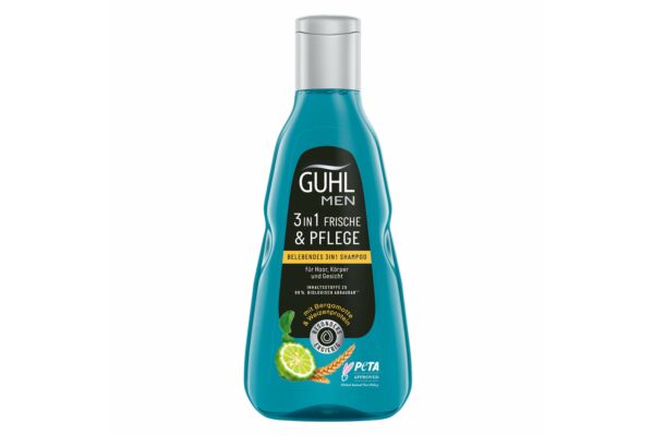 GUHL Men 3in1 Shampoo Frische & Pflege Fl 250 ml