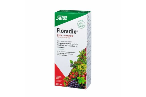 Floradix Fer + vitamines fl 250 ml