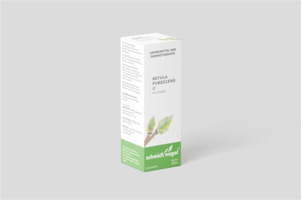 SN betula pubescens mac glyc TM fl 20 ml